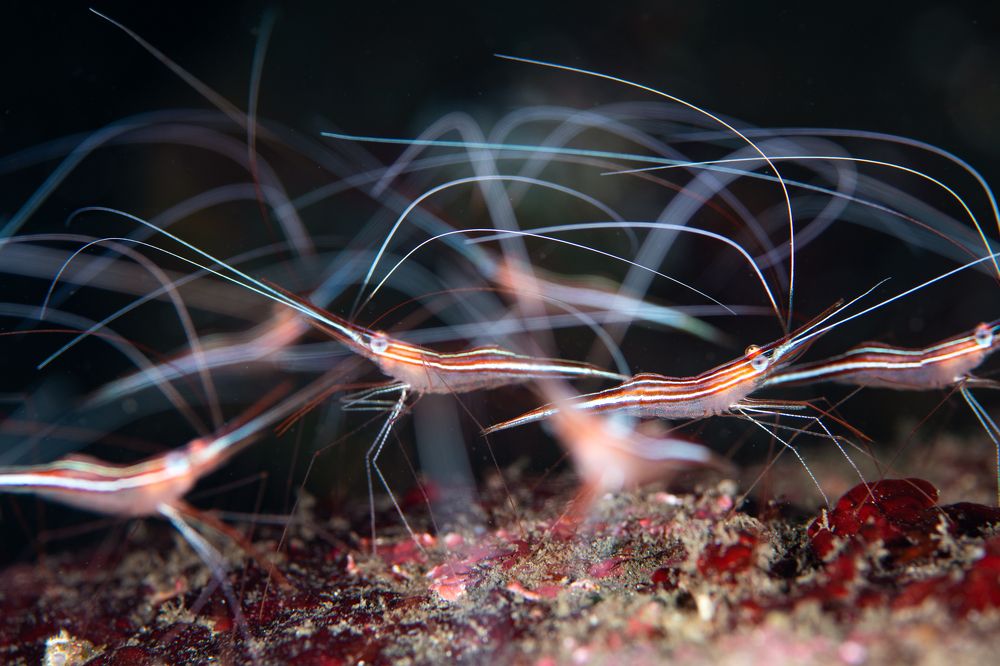 Welcome to the Ballroom