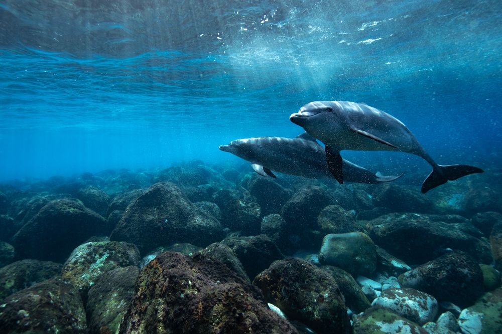 Photograph by HITOMI TSUCHIYA