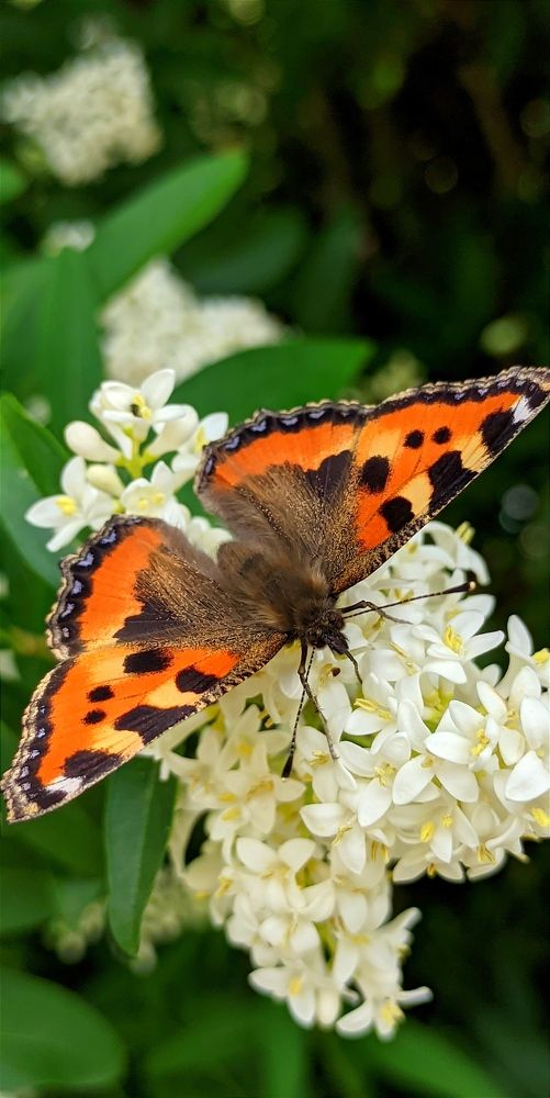 Фотография автора Васильева Ирина