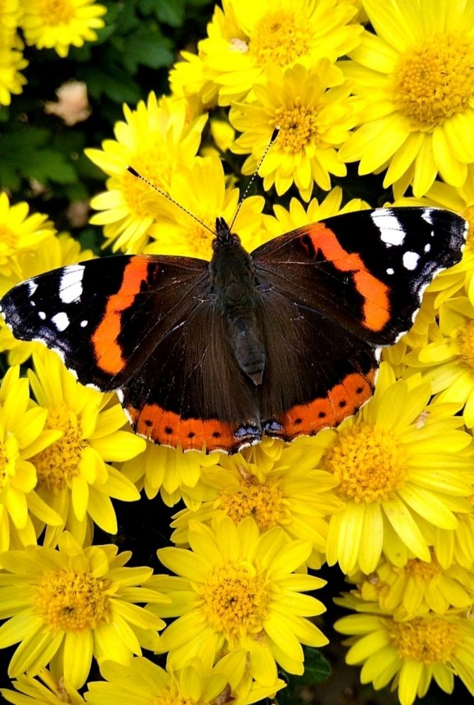 Photograph by Инна Букреева