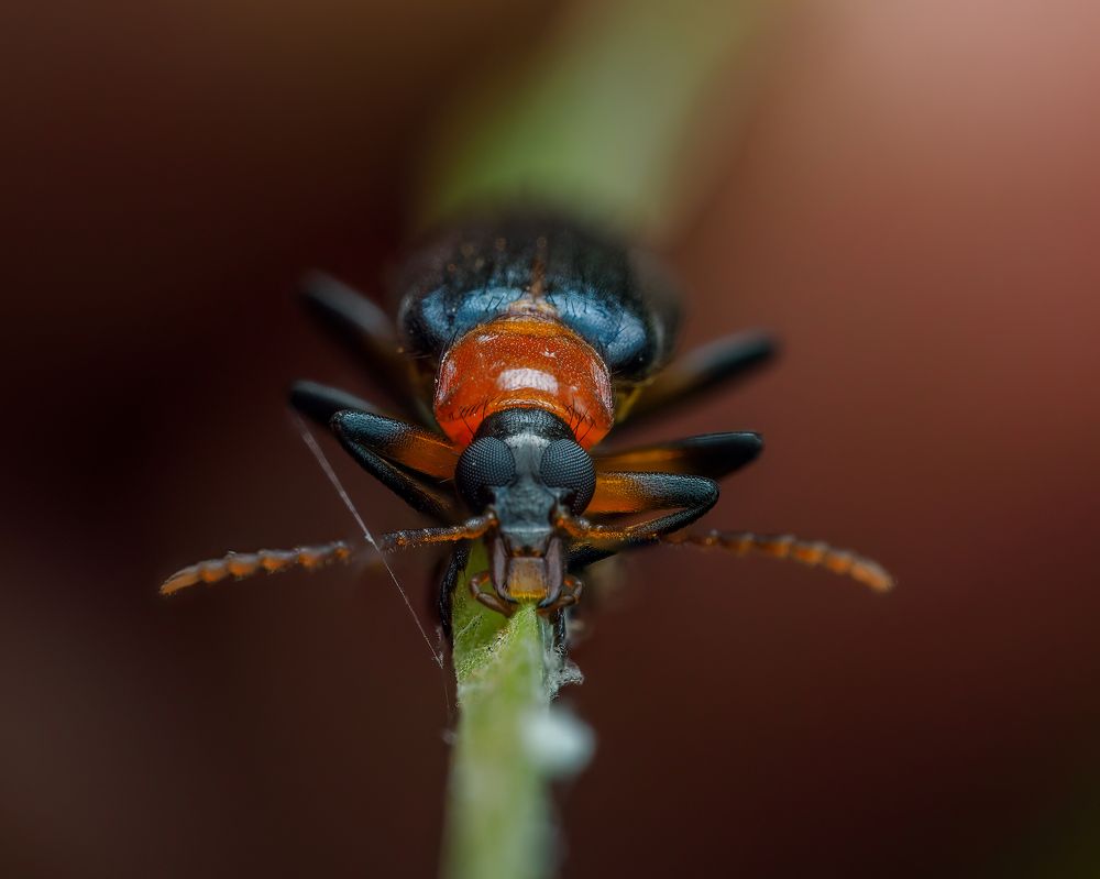 Photograph by Venkat Mangudi