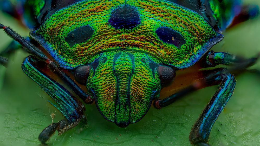 Photograph by Venkat Mangudi