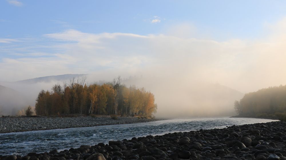 Туман, уходящий за лес