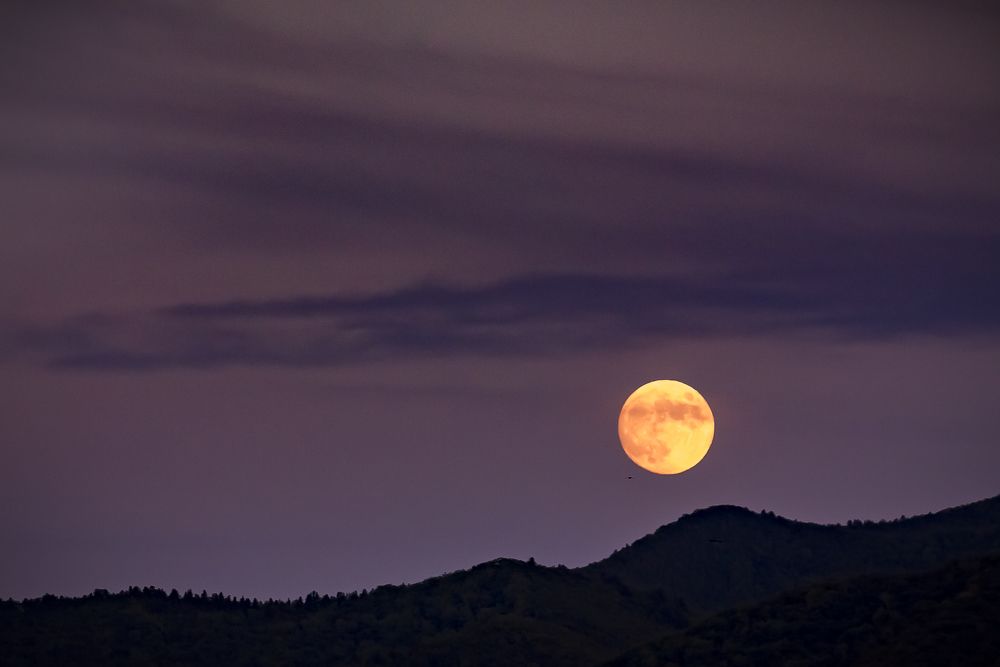 Photograph by Андрей Михайлов