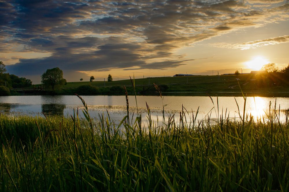 Photograph by Маргарита Сенченко