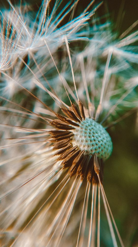 Photograph by Ольга Белостоцкая