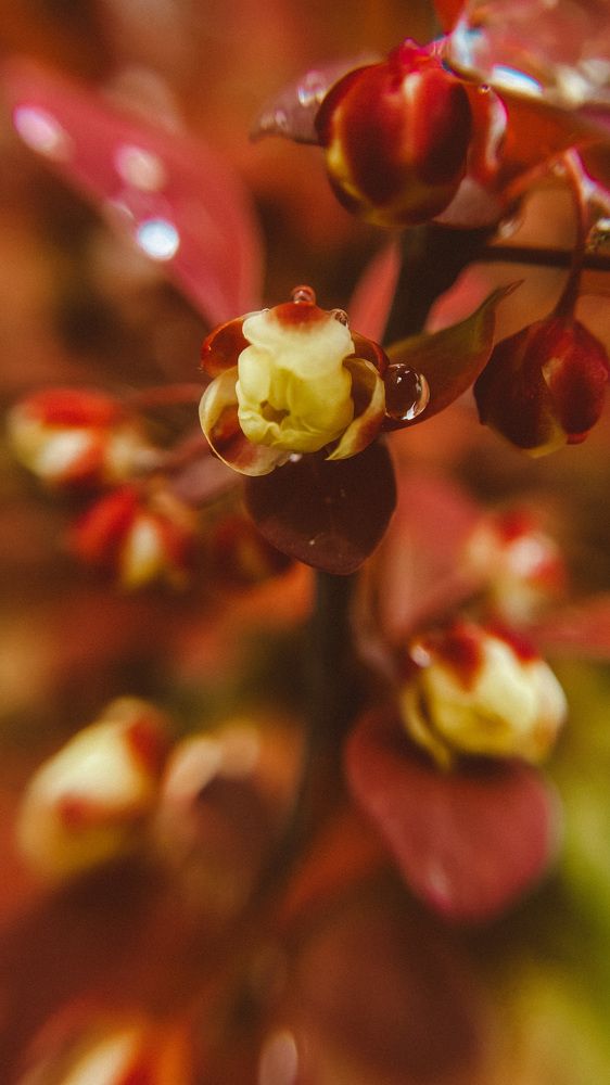 Photograph by Ольга Белостоцкая