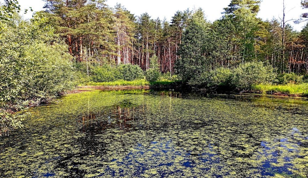 Photograph by натапов леонид