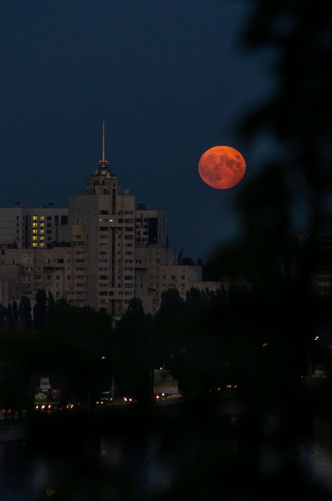 Апельсиновая ночь