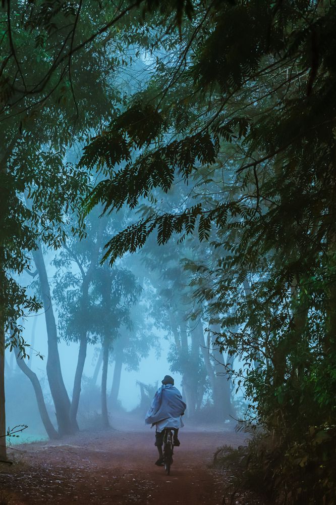 Фотография автора Shuvadeep Paul