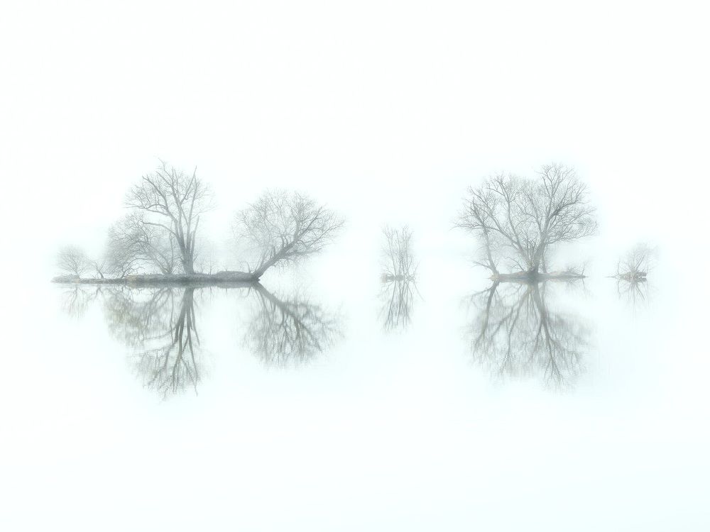 Семейка в тумане.