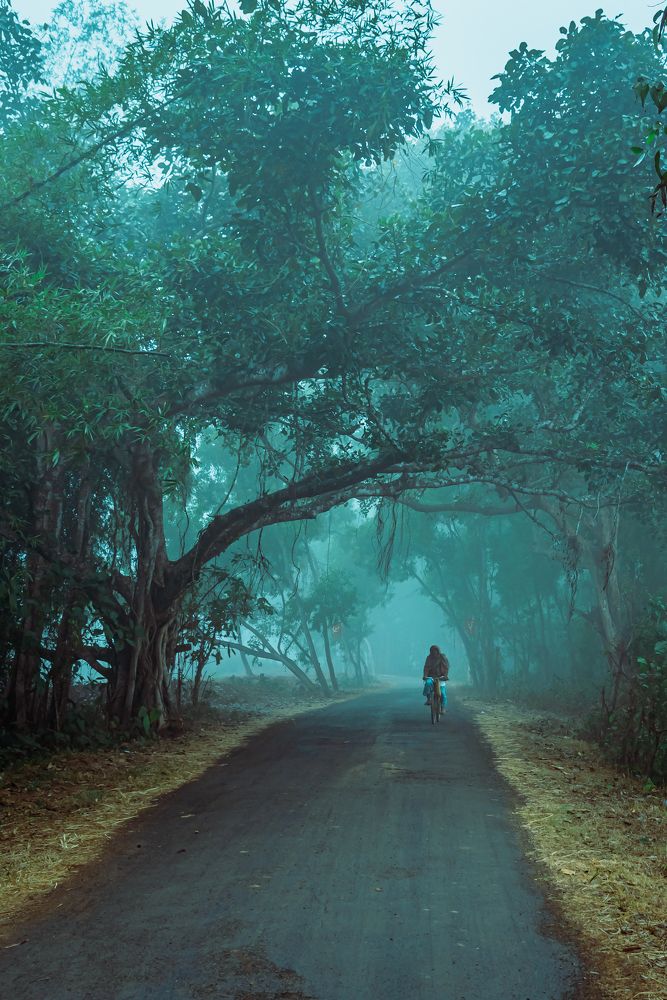 Фотография автора Shuvadeep Paul