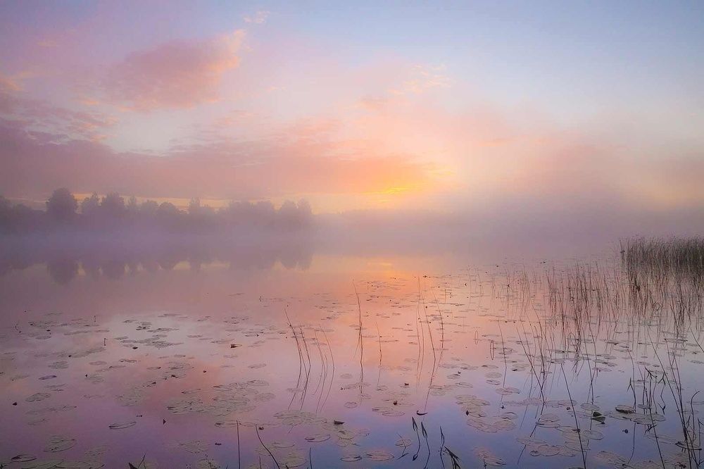 Photograph by Напалкин Станислав