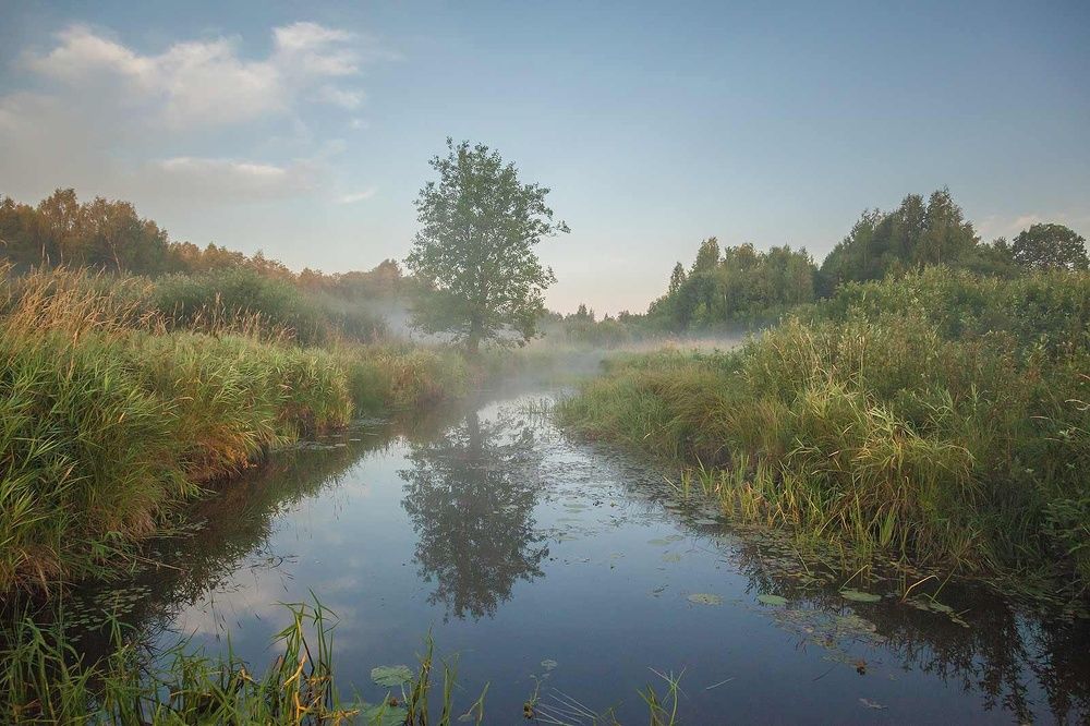Photograph by Напалкин Станислав