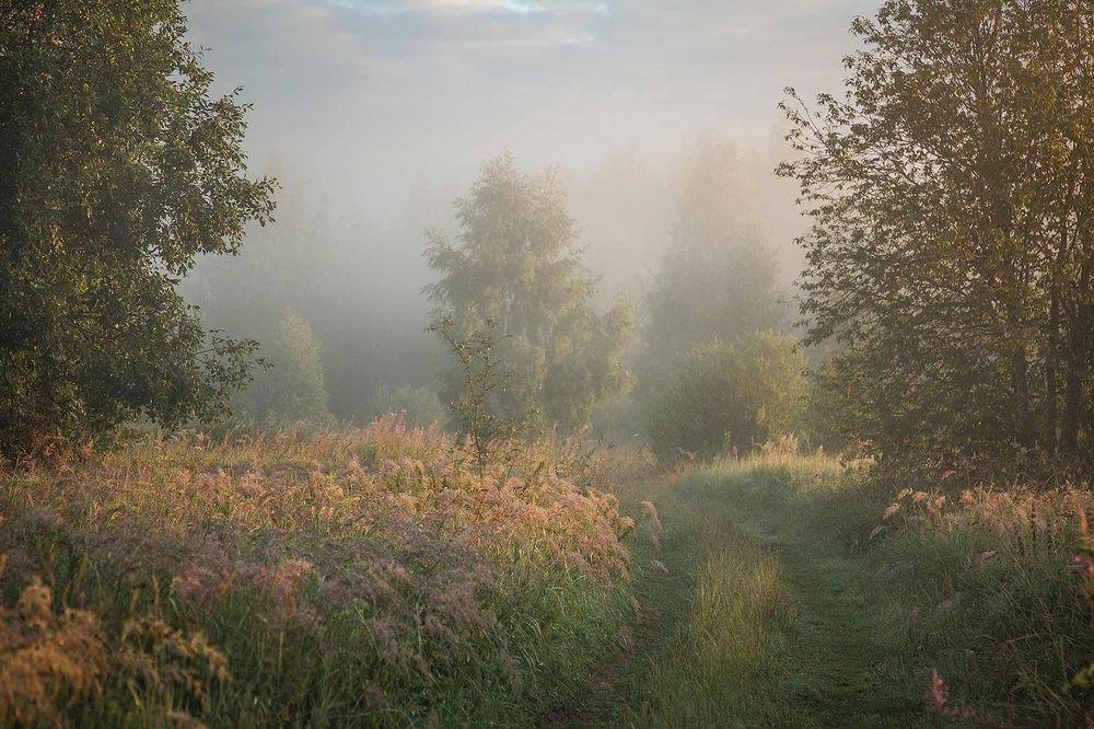 Photograph by Напалкин Станислав