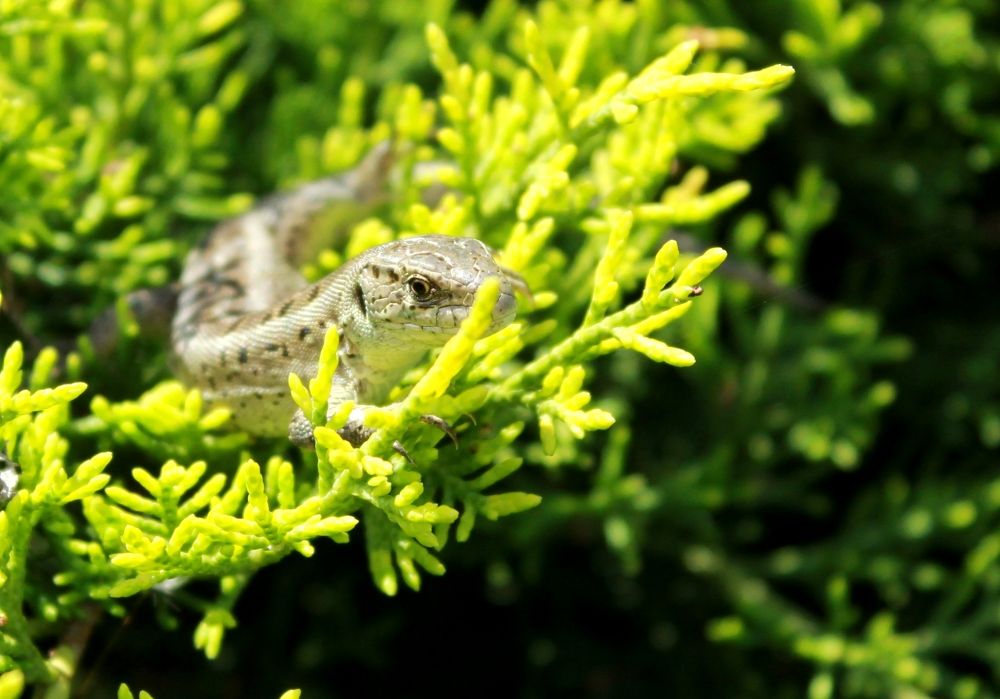 Photograph by Марина Юрченко