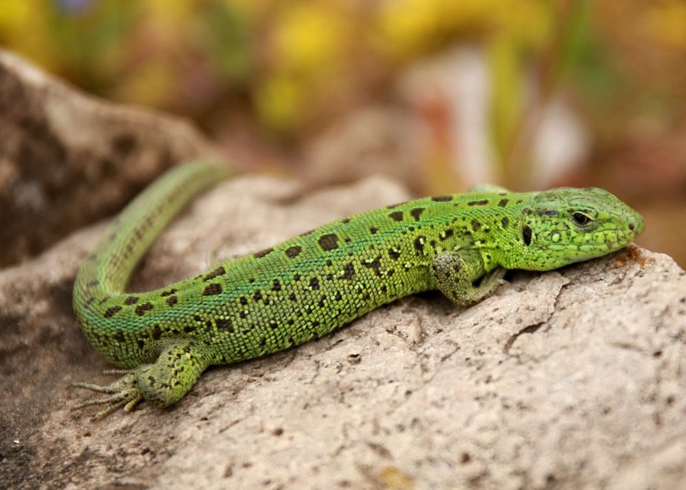 Photograph by Марина Юрченко