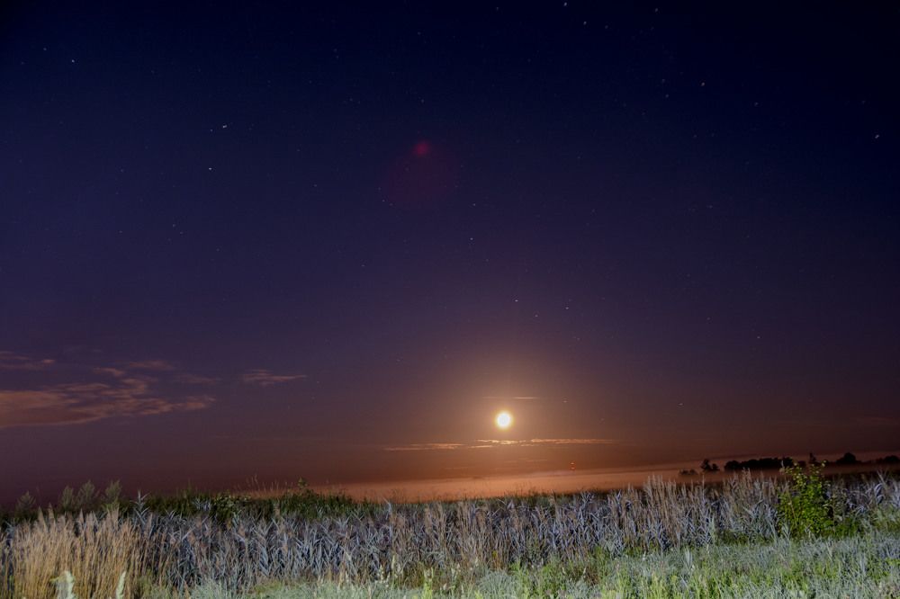 Photograph by Светлана Яковлева