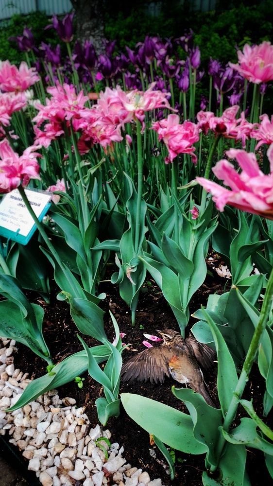 Photograph by Наталья Калюнова