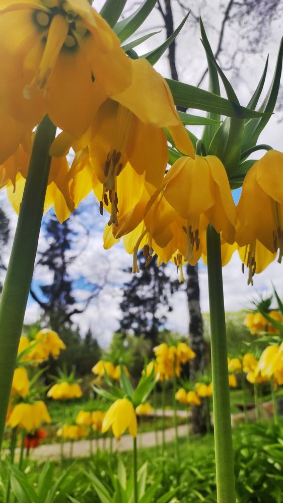 Photograph by Наталья Калюнова