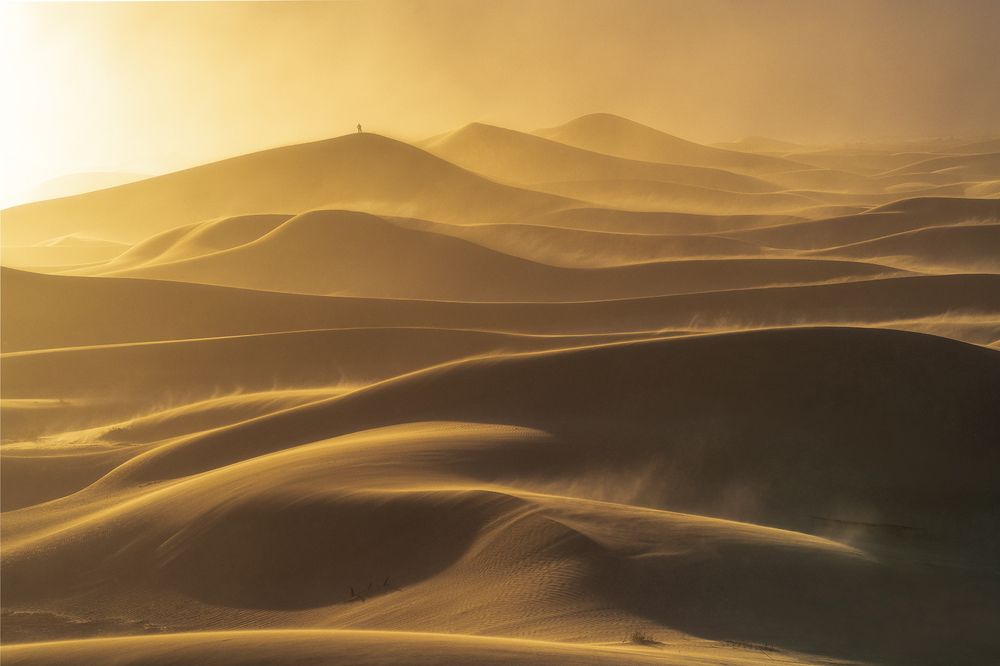 Photograph by Markus Albert