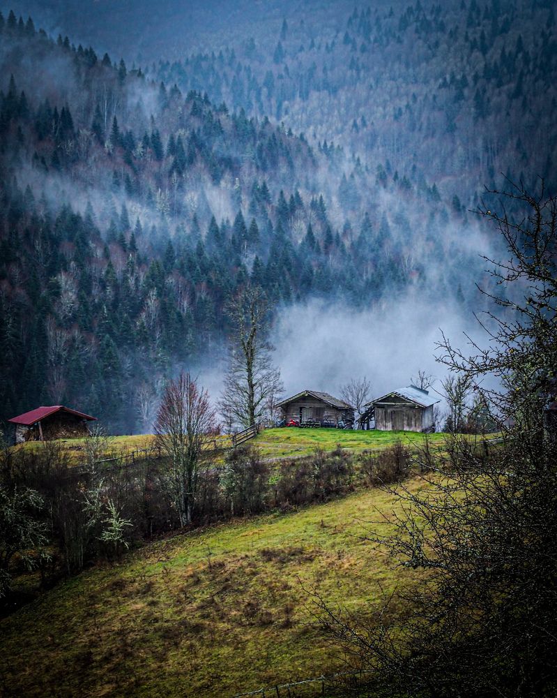 Фотография автора NECMETTİN SOBUTAY