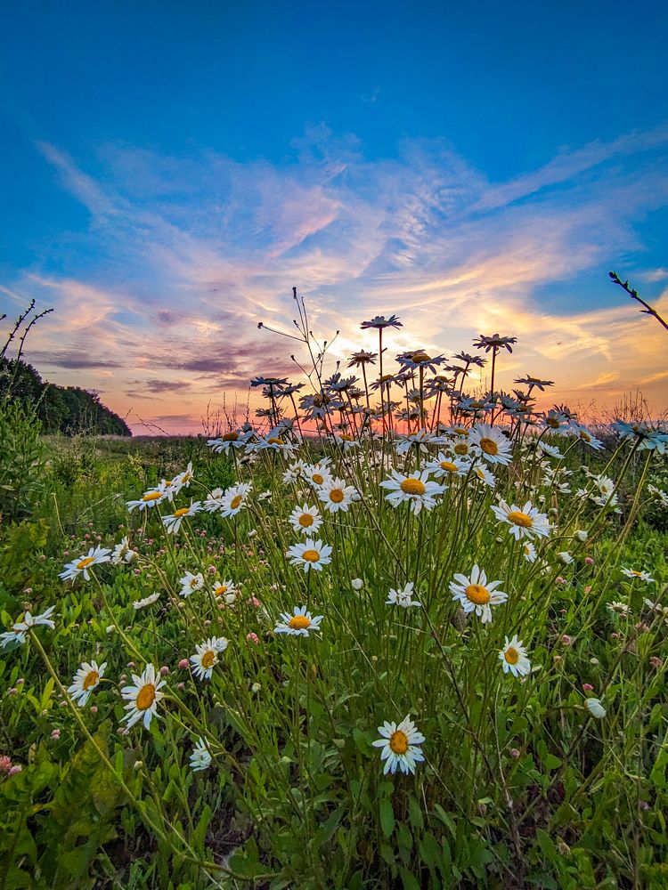 Photograph by Елена Чиркова