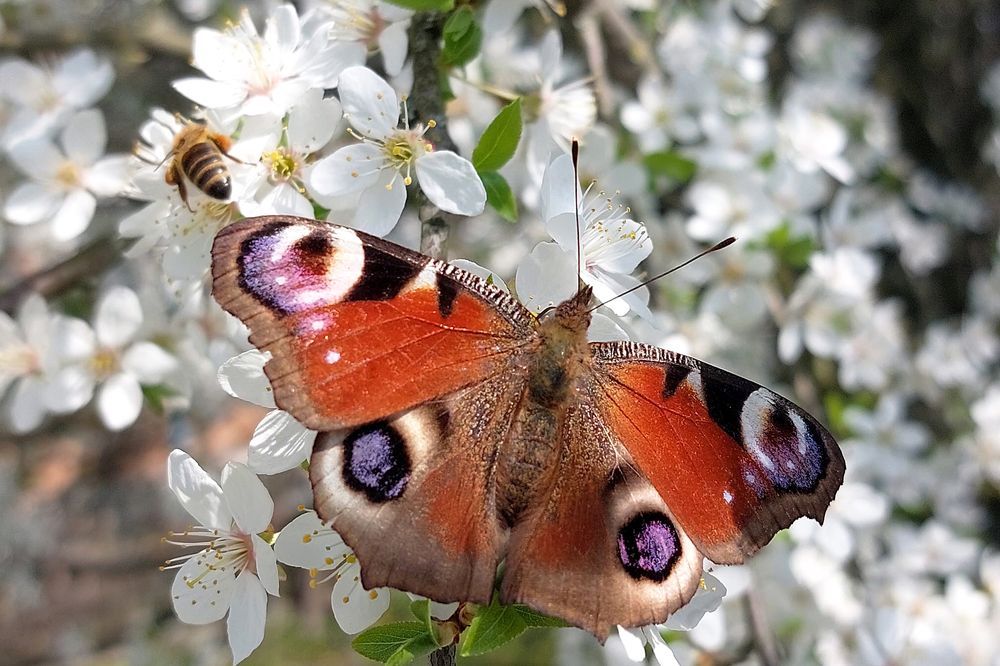 Photograph by Олена Лукашевич