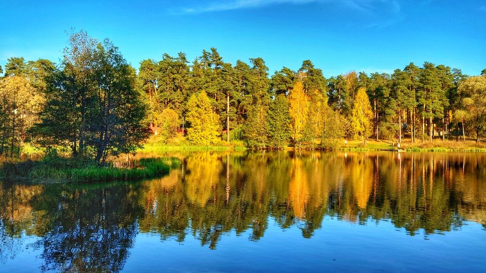 Photograph by Алексей Новиков