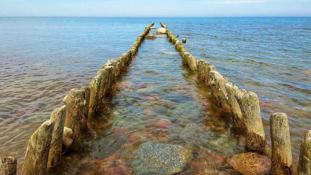 Photograph by Алексей Новиков