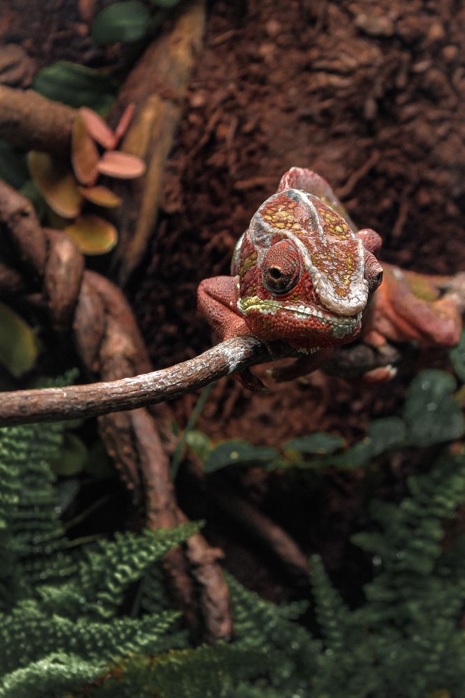 Photograph by Вероника Архипова