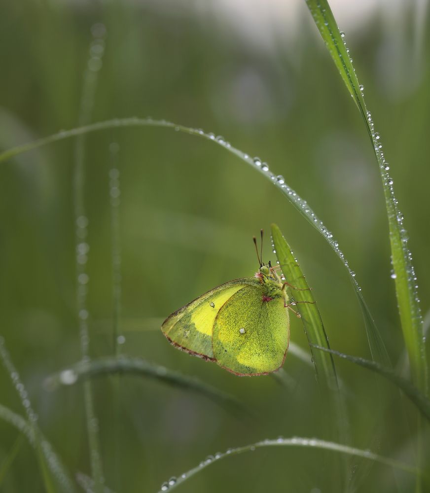 Photograph by Евгения Левина