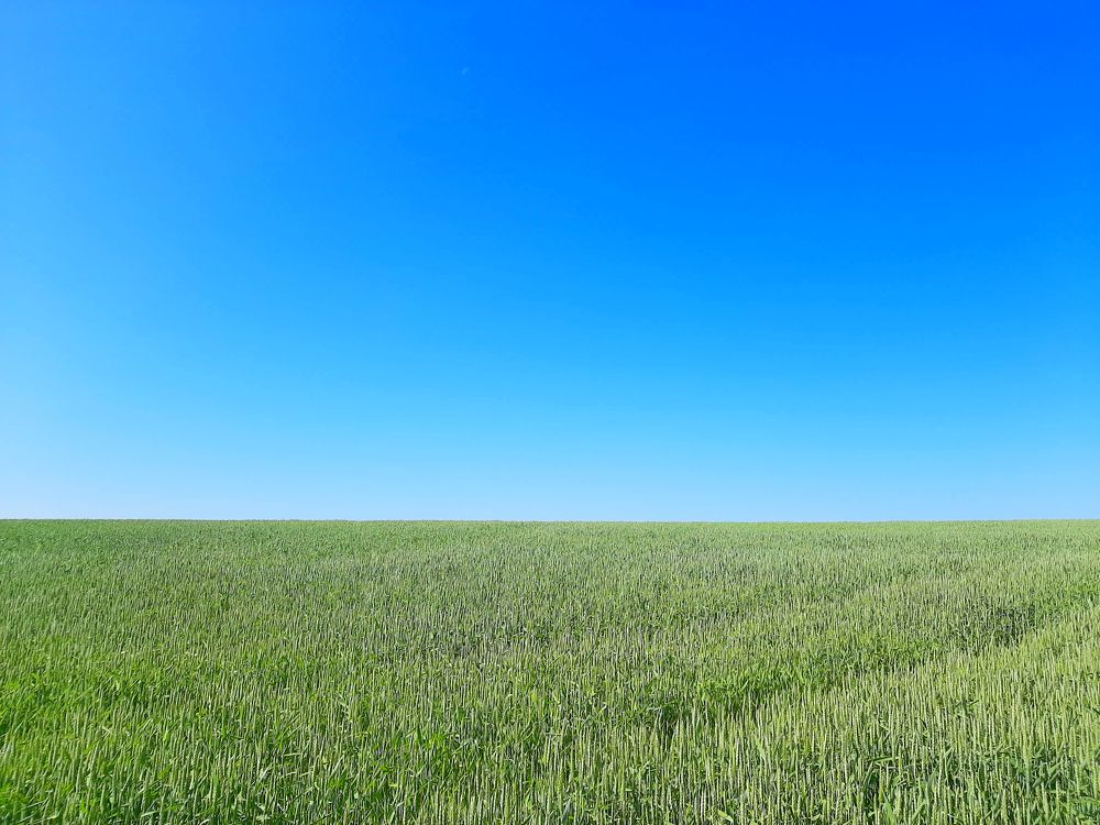 Photograph by Елизавета Иванова