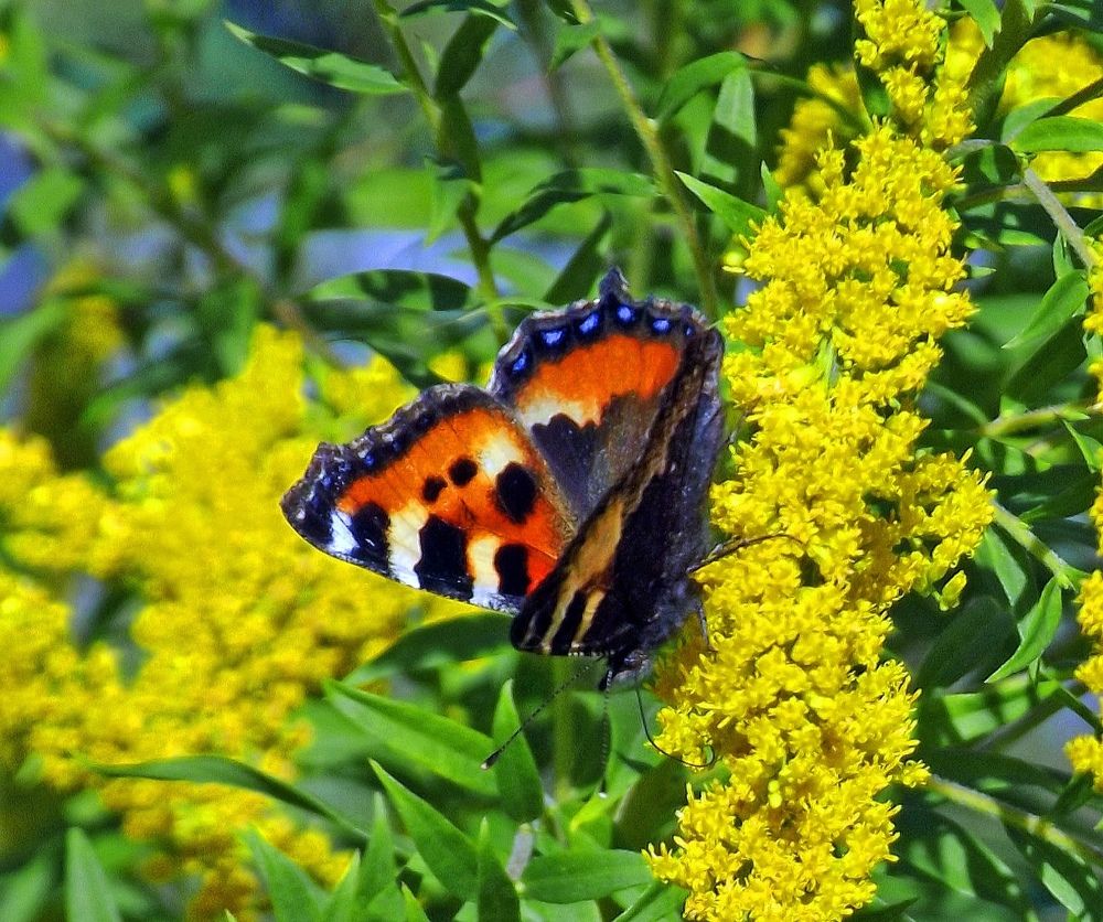Photograph by Дмитрий Соколовский