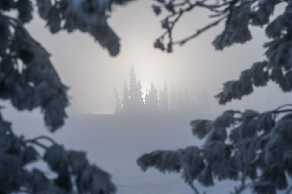 Photograph by Пешков Валерий