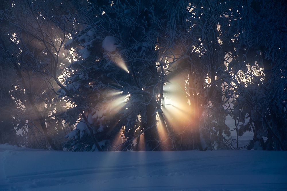 Photograph by Пешков Валерий