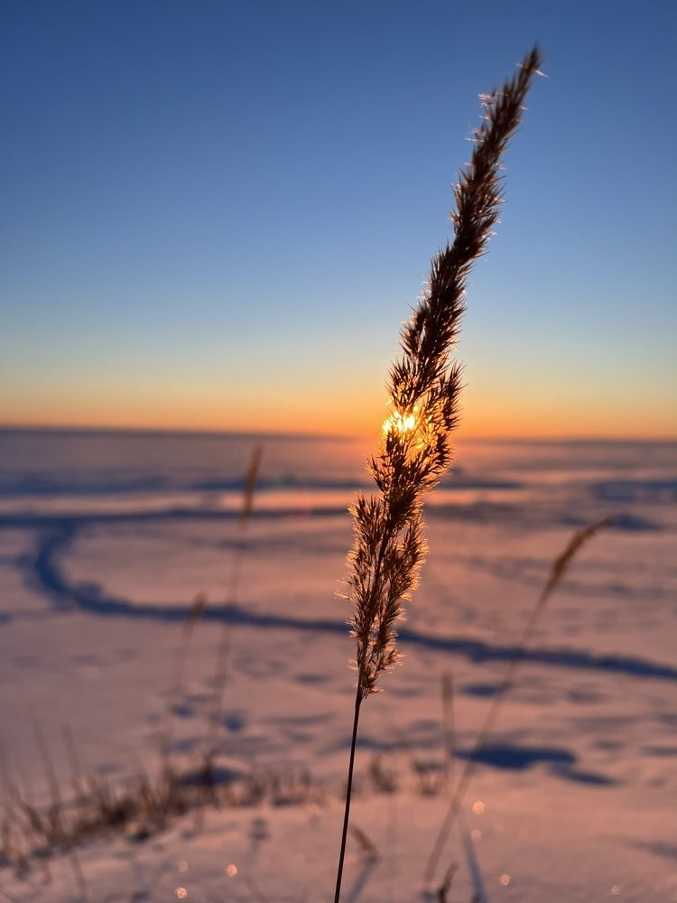 Photograph by Маргарита