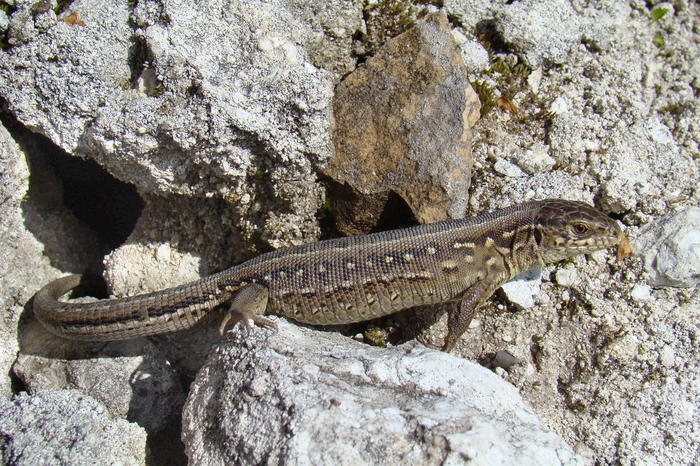 Photograph by Олена Лукашевич