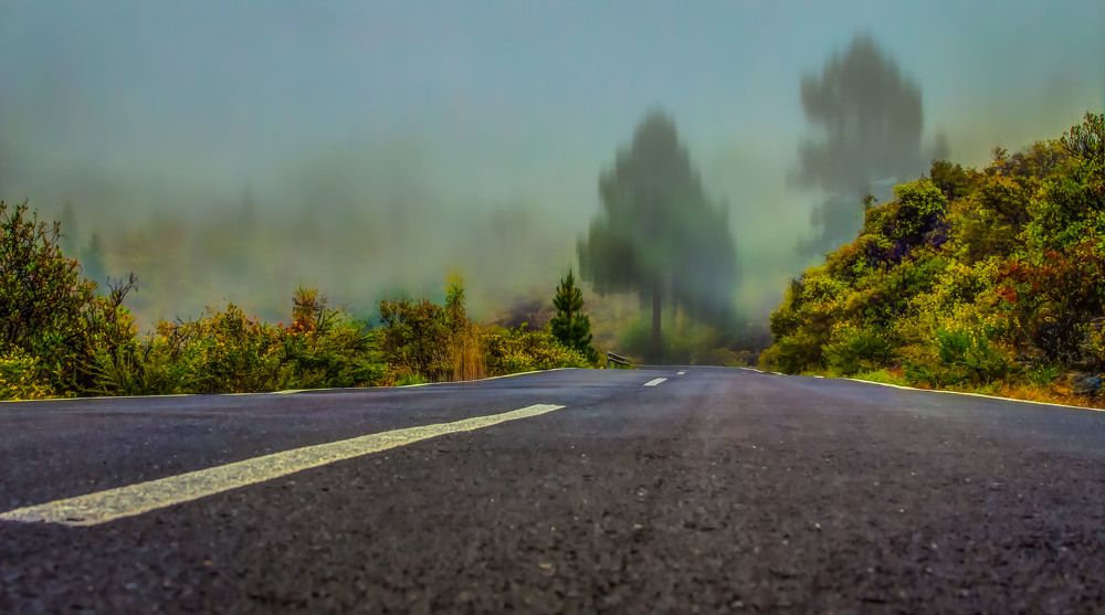 Photograph by 