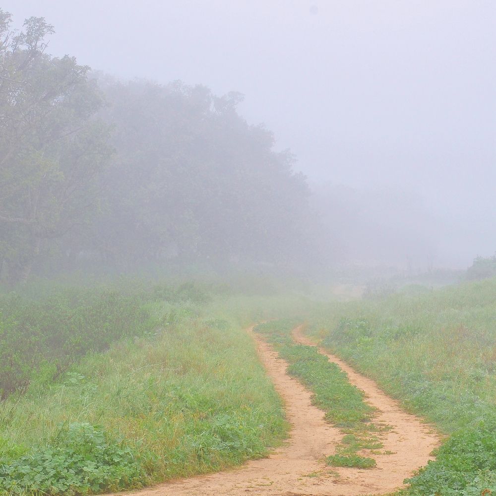 Фотография автора Dmitry