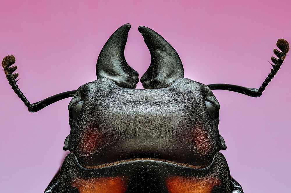 Photograph by Jacob Ng