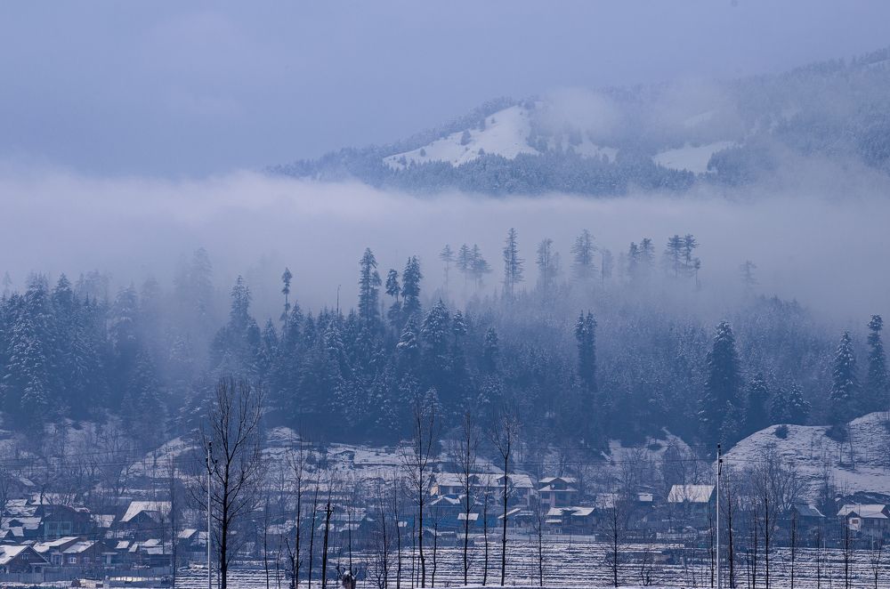 Lolab Valley, Kashmir