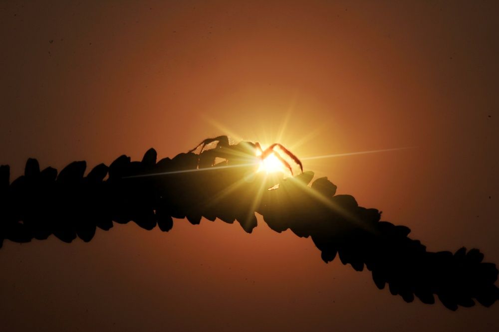 Photograph by Rohit Rajak