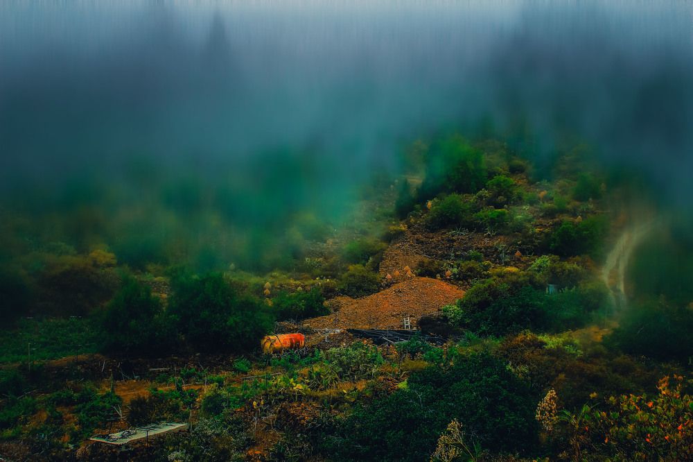 Photograph by 