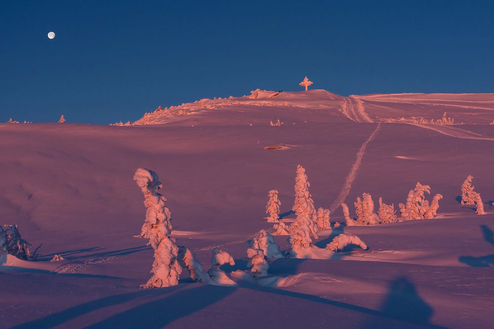 Photograph by Пешков Валерий