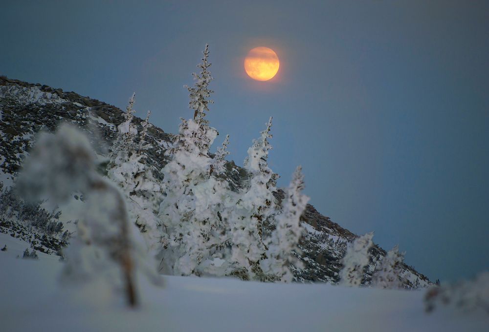 Photograph by Пешков Валерий