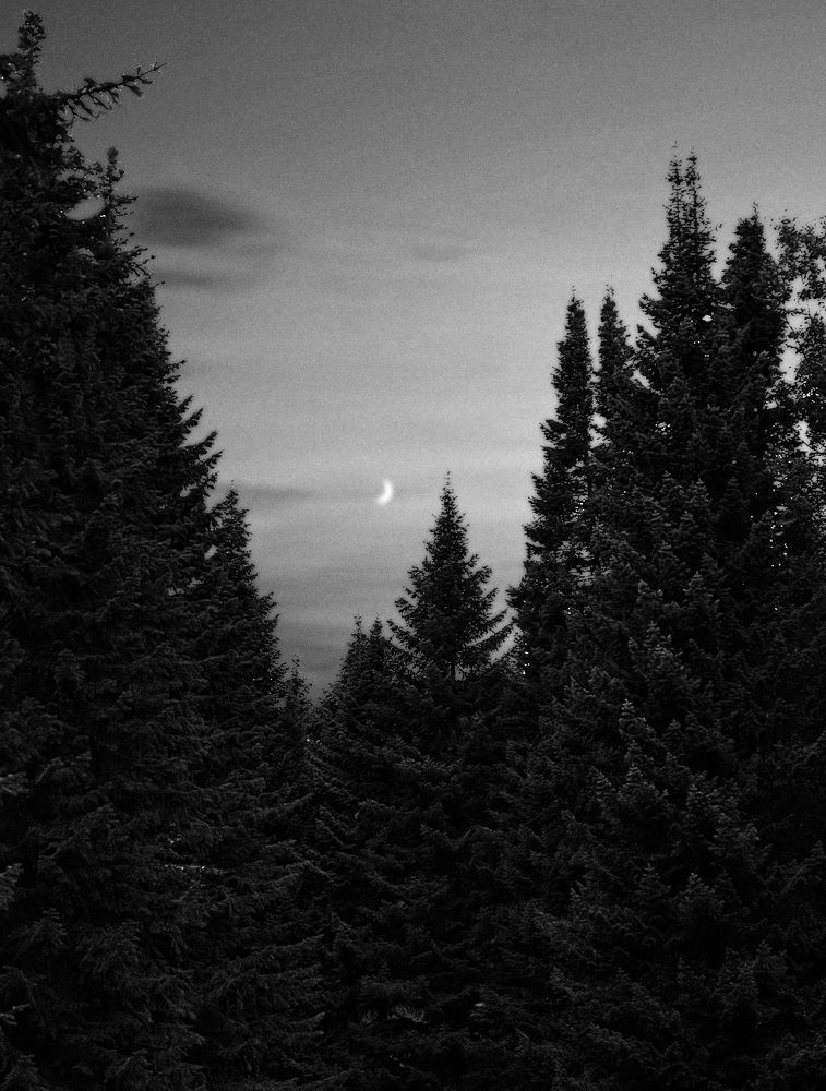 Photograph by Анастасия Каланакова