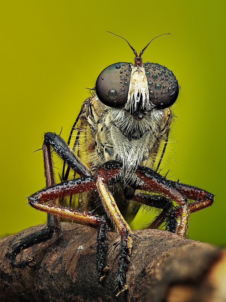 Photograph by Jacob Ng