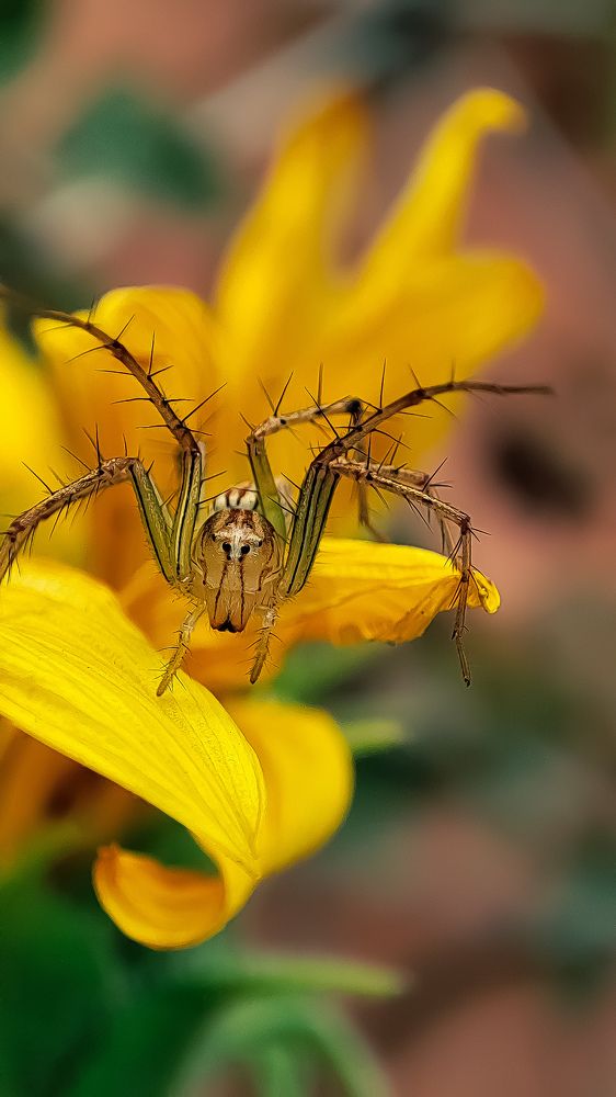 Photograph by Sulagna Mazumdar