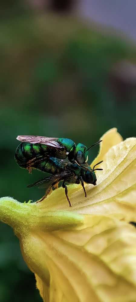 Photograph by Sulagna Mazumdar